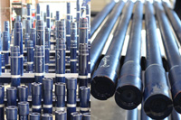 Bear-Gallery-Large_Image_012