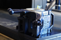 Bear-Gallery-Large_Image_022