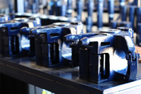 Bear-Gallery-Large_Image_023