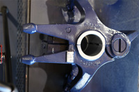 Bear-Gallery-Large_Image_026