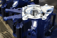 Bear-Gallery-Large_Image_027