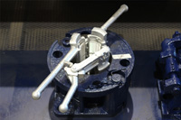 Bear-Gallery-Large_Image_028