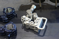 Bear-Gallery-Large_Image_029