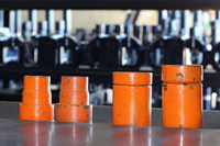 Bear-Gallery-Large_Image_031