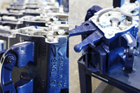 Bear-Gallery-Large_Image_032