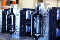 Bear-Gallery-Large_Image_034