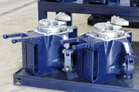 Bear-Gallery-Large_Image_035