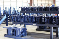 Bear-Gallery-Large_Image_036