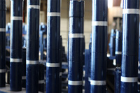 Bear-Gallery-Large_Image_08